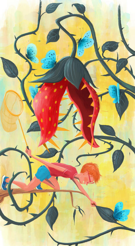 Butterflies